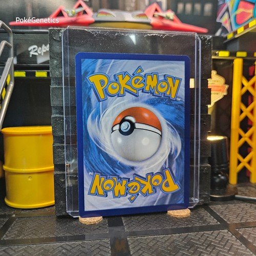 Furfrou Shrouded Fable Pokémon TCG 051/064 Common - Picture 4 of 6