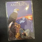 2026 American Bald Eagle Jumbo 1 gram Colorized .999 Silver Shaped T-BOX!