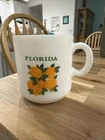 Vintage Florida Milk Glass Coffee Mug - Classic Oranges Design Travel Souvenir