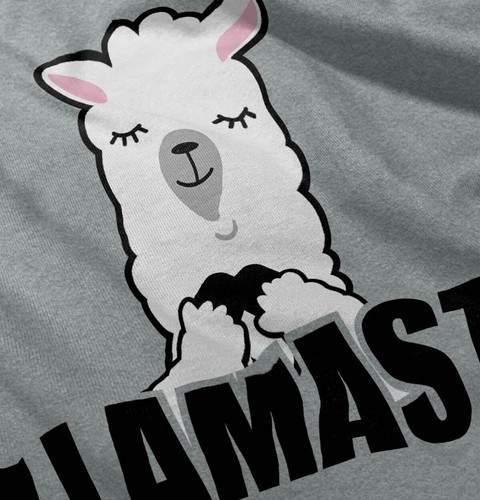 Llamaste Namaste Llama Yoga Alpaca Gym Funny Youth Hooded Sweatshirt Boy or Girl - Picture 4 of 9