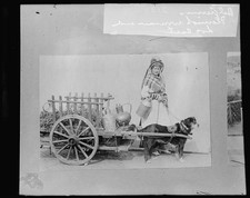 Photo:Belgium,Flemish woman,dog cart,Europe,National Photo Company,c1916