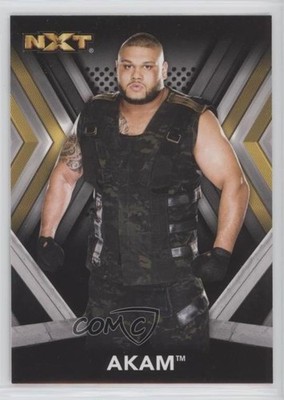 2017 Topps WWE NXT Roster Akam #2 2o7