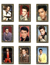 Elvis In Color B MULTI-SIZE SET Cotton Fabric Quilt Blocks
