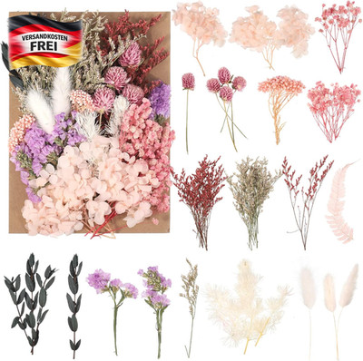 Natürliche getrocknete Blumen für DIY Bastelprojekte Schmuck Kerzen Dekorationen