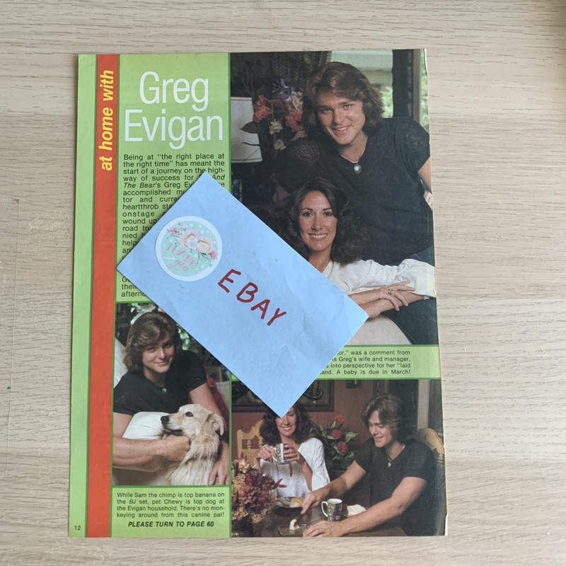 Greg Evigan - Vintage Clippings (BJ And The Bear)