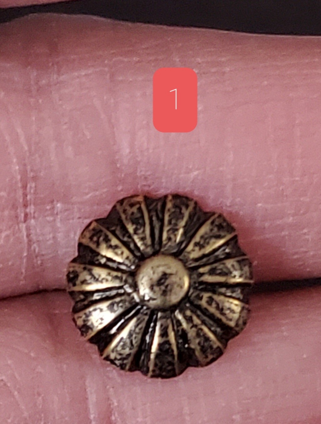 Picture 10 of 11