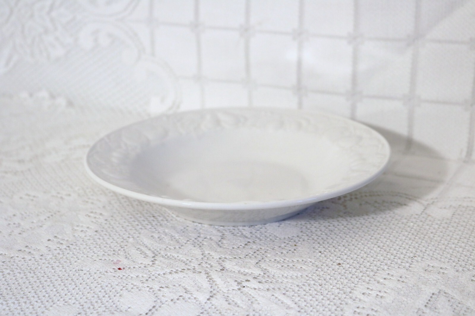 TABLETOPS UNLIMITED FRUIT DE BLANC CHINA 9"d Large Rim Soup Bowls Set