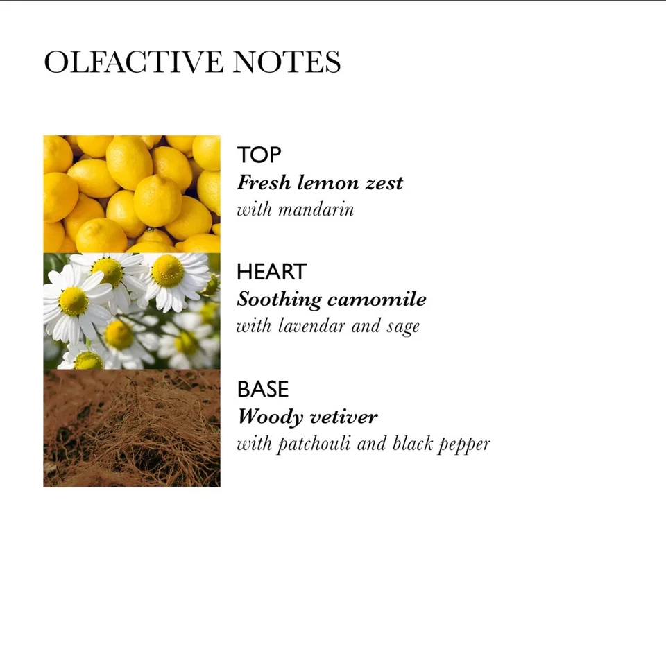 Condicionador Hidratante Molton Brown com Camomila 300ml - Imagem 4 de 4