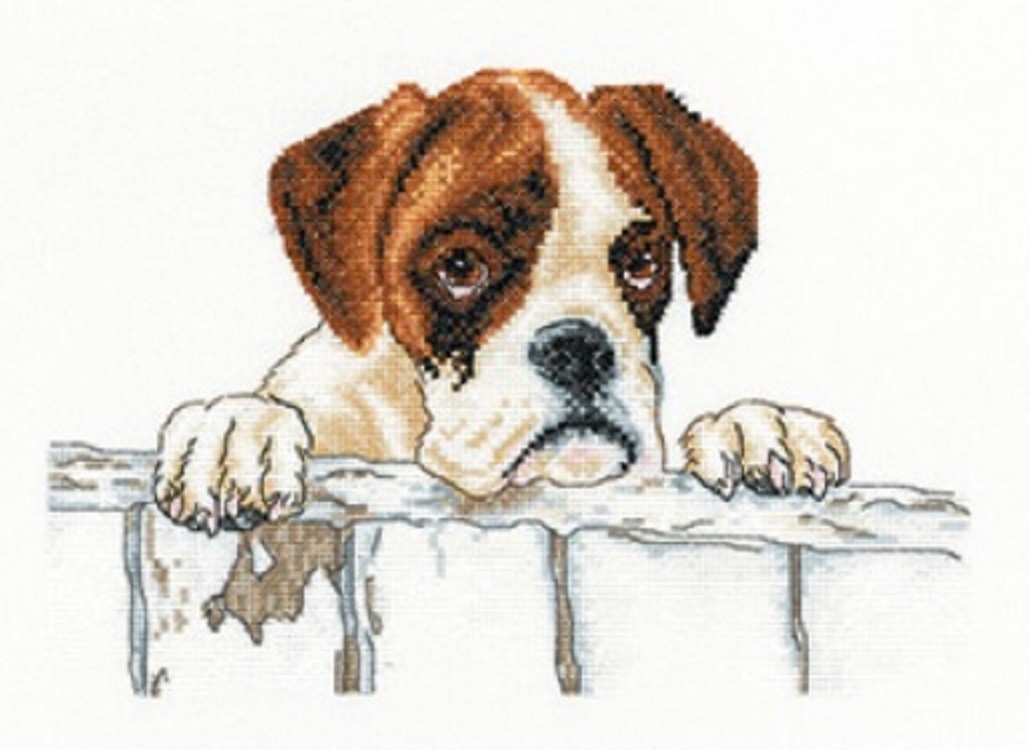 Heritage Crafts - Bailey - Dog Cross Stitch Kit  by Villager Jim