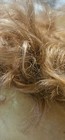 Bild 17 von 20