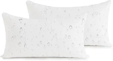 Oubonun 12x20 Outdoor Pillow Inserts (Pack of 2) - 12 x 20 2), White 