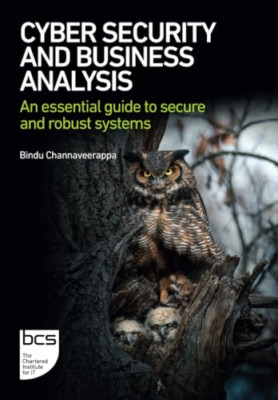 Cyber Security and Business Analysis: An essential guid - Paperback NEW Channave