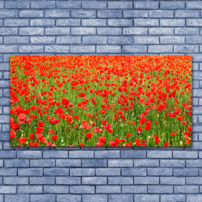 Tableau Sur Verre Acrylique – Paysage Coquelicots 125x50 Cm, Décoration Moderne