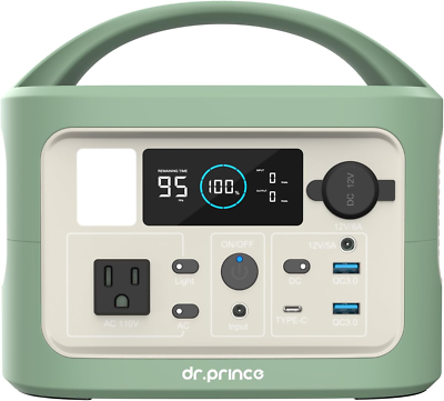 Portable Power Station, 300Wh Backup Lithium Battery,110V/300W Pure Sine  Wave AC | eBay