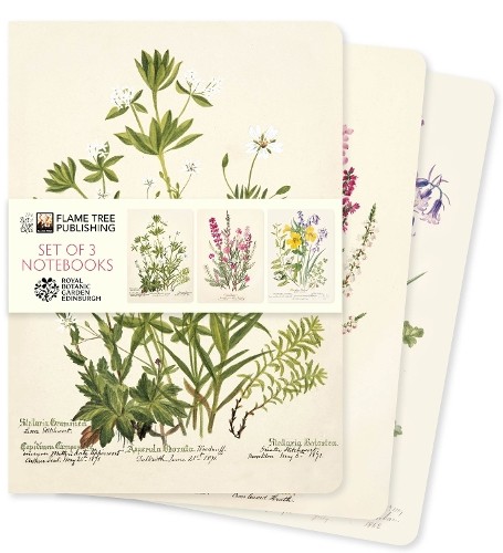 Royal Botanic Gardens Edinburgh Set of 3 Standard Notebooks - Image 3