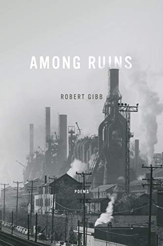 Among Ruins by Gibb, Robert  New 9780268102104 Fast Free Shipping<-