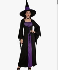 Witch Costume Purple Dress with Hat for Halloween Large 