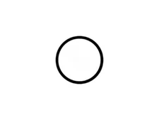 VALVE CAP / CONNECTOR O-RING (SUPER-PRO - O-255)