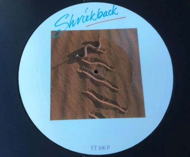 SHRIEKBACK - LINED UP / MY SPINE 12"  PICTURE DISC. MINT. YT 106P. 4 TRKSs. - Image 2 of 3