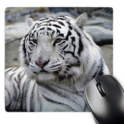 3dRose LLC 8 x 8 x 0.25 Inches Mouse Pad, White Tiger 8L x 8W inches,