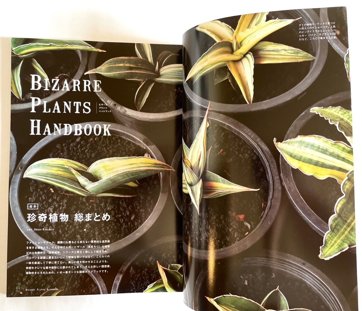 MAGAZINE　JAPAN　SPECIAL　ISSUE　BOOK　2016　B01　eBay　BIZARRE　HANDBOOK　PLANTS　BRUTUS