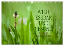 WILD, ESSBAR UND GESUND Essbare Wildpflanzen (Wandkalender 2026 DIN A3 quer),...
