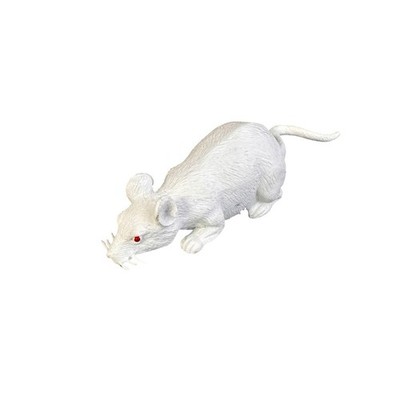 White Friction-powered Toy Rat Red Eyes Plastic Halloween Animal