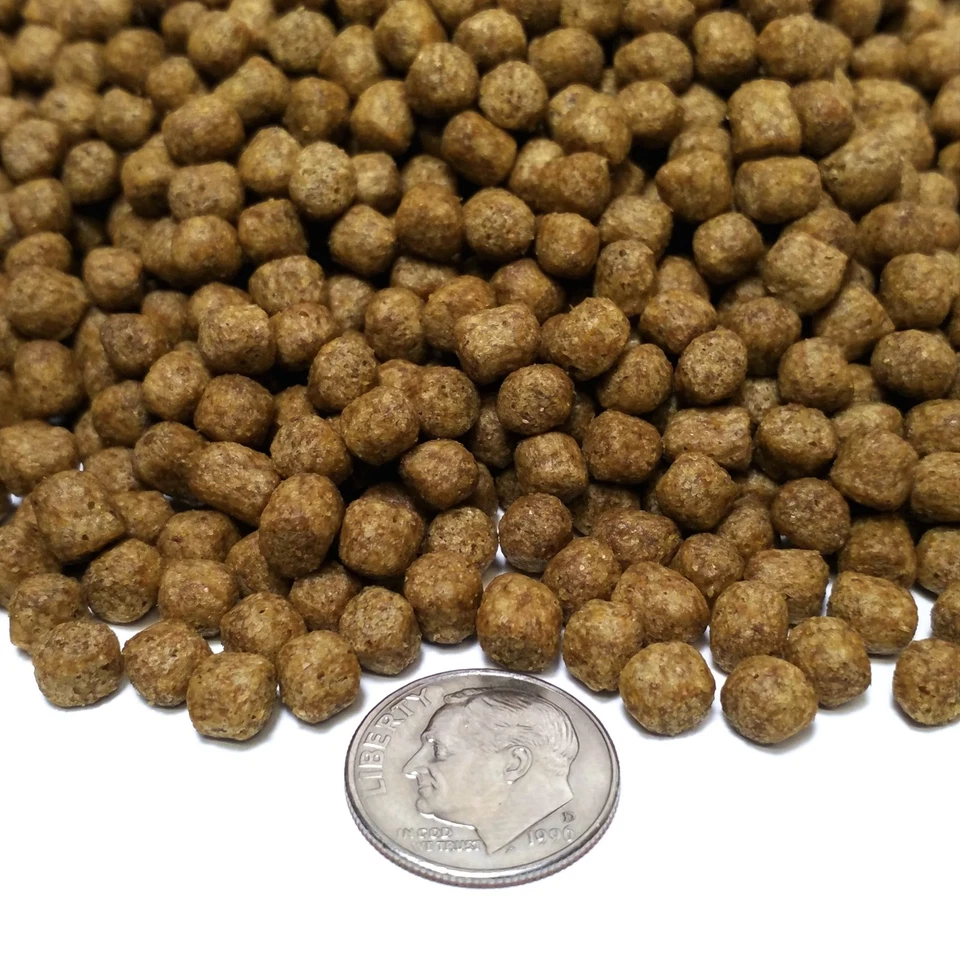 Alimento de mantenimiento de tortugas acuáticas ZooMed (a granel) Foto 2 de 3