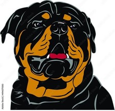 Rottweiler weatherproof Sticker Decal