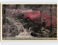Postcard Azalea Garden In Woodward Park Tulsa Oklahoma