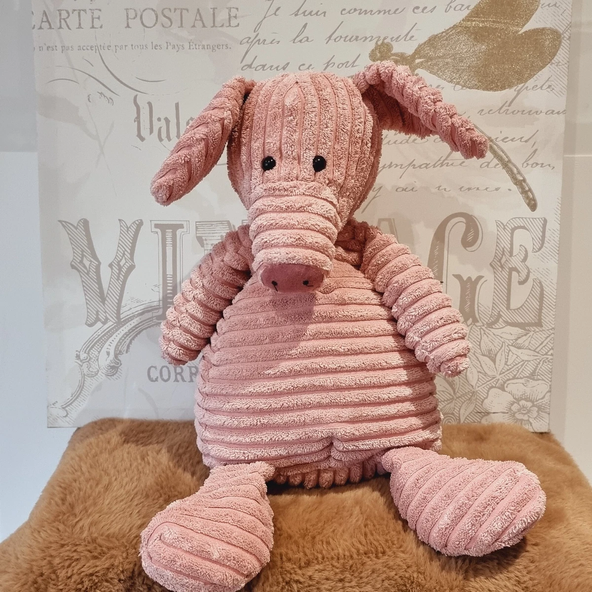 Cordy roy best sale pig