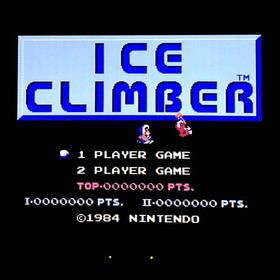 Nintendo Famicom Disk System Baseball + Ice Climber Game Disk Cards With Cases