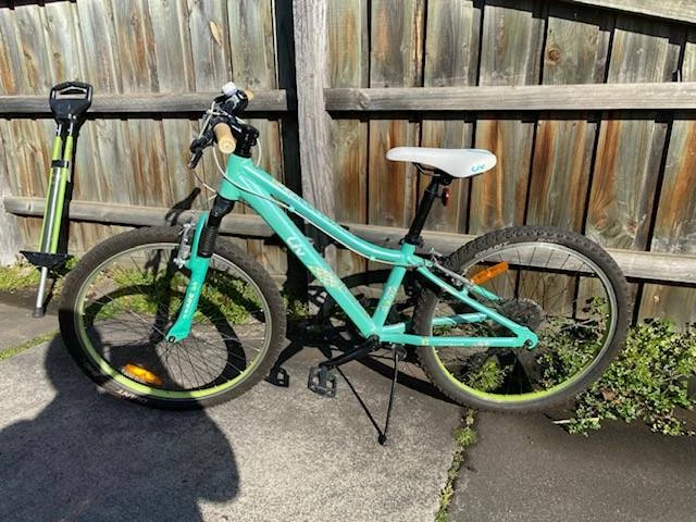 giant liv 24 inch
