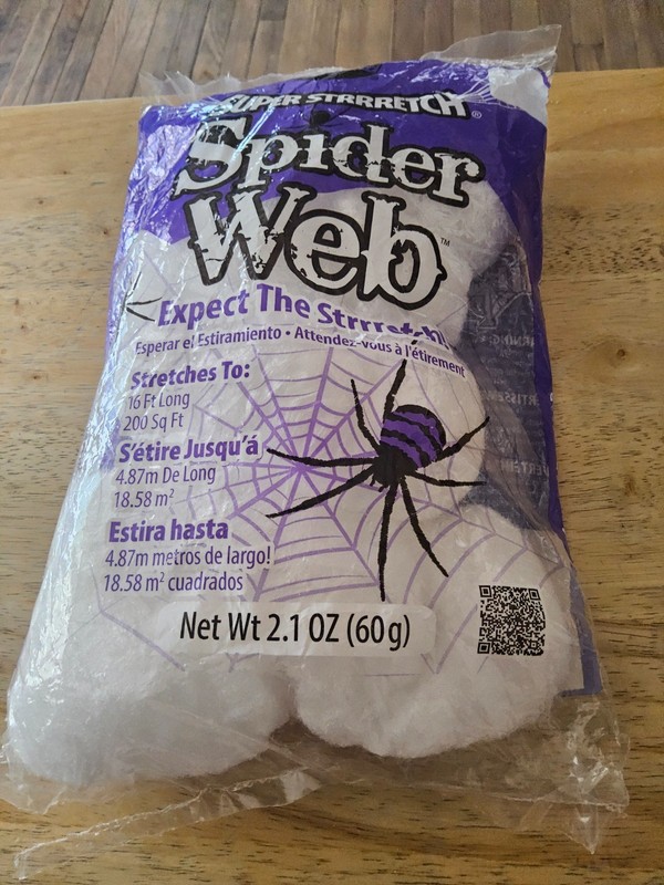 spider web