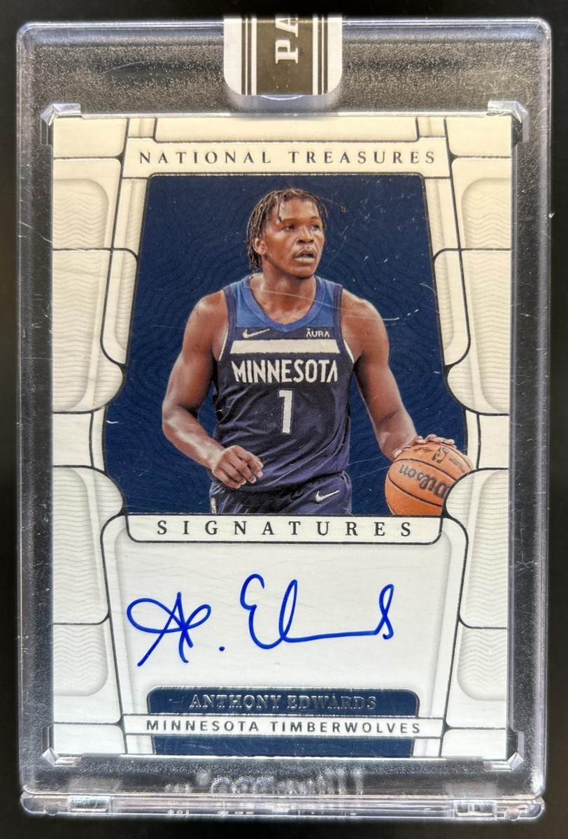 Panini National treasures Anthony Davis 直筆 サイン カード レア [The Brow] inscription Lakers NBA 75th 