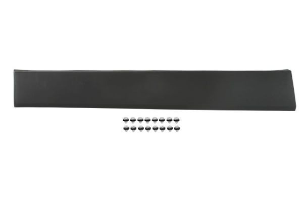 Left Front BLIC 5703-04-6063588PP Trim/Protection Strip, door for FIAT,NISSAN,OP