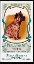 Toto 2013 Allen & Ginter Mini #PP10 Portraits of Penultimacy Wizard of Oz