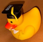 Lot Of 14 Rubber Ducks Bath Toys, Jeep Owners Get This Lot Of Multi Color Ducks — photo 7