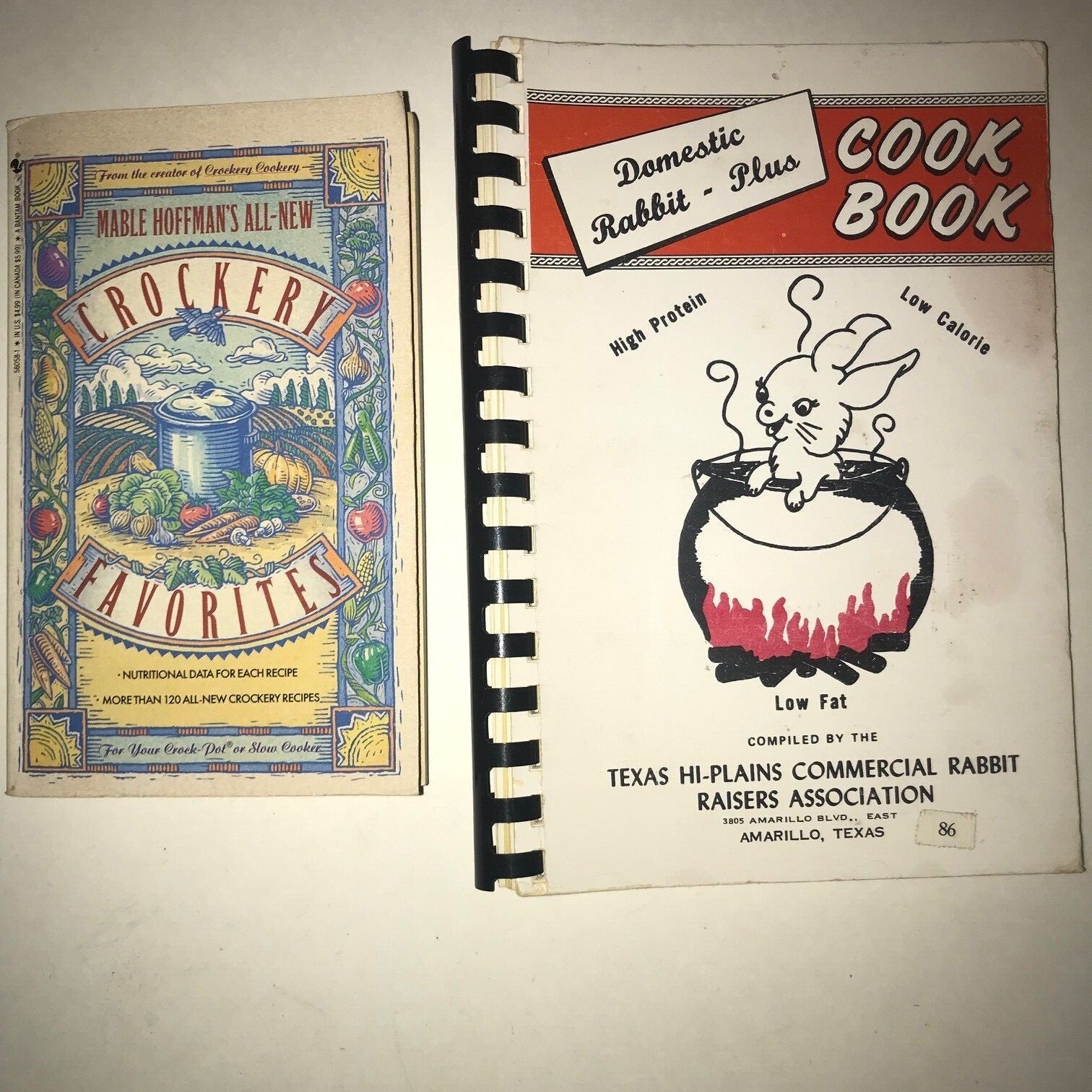 Crock Pot or Slow Cooker Recipes + Wild Game Recipes (2 Books)