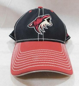 GW - Arizona Coyotes Fitted Baseball 
