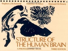 STRUCTURE OF THE HUMAN BRAIN: A PHOTOGRAPHIC ATLAS By Stephen J. Dearmond VG