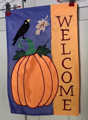 Jetmax Fall Pumpkin 
