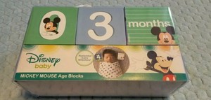disney milestone blocks
