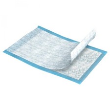 UPC 768702003544 product image for TENA Extra Underpads Disposable Polymer Core Light Absorbency 23 inch x 24 Inch  | upcitemdb.com