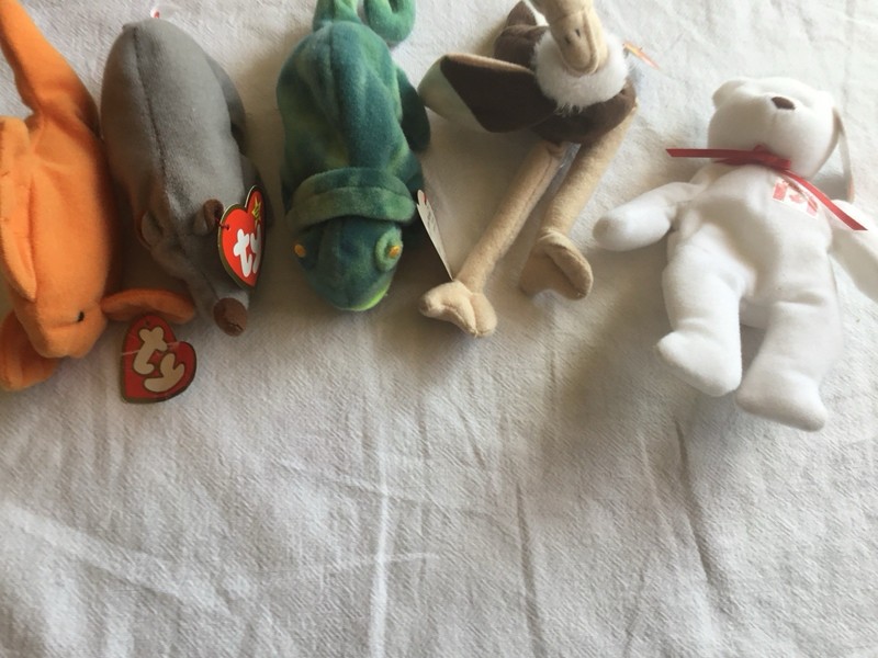 TYTeenie Beanie Babies Goldie 1996 Iggy 1993 Maple 1993 Spike 1999 Stretchy 1993