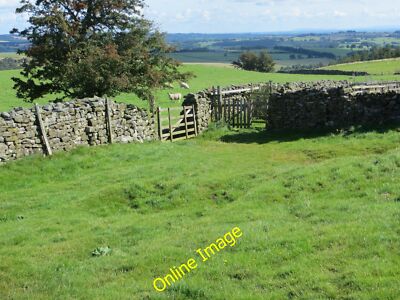 Foto 12x8 Weg und Tore durch Felder bei Castle Steads Caldbergh L c2014