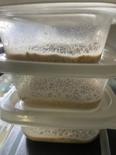 MATURE 6-8oz Microworm Culture Live Food for Fry, Nano Fish, Guppy, Betta