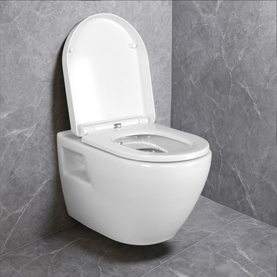Dusch-WC Taharet Bidet-Funktion & Softclose WC-Sitz, Hänge WC Toilette Weiß