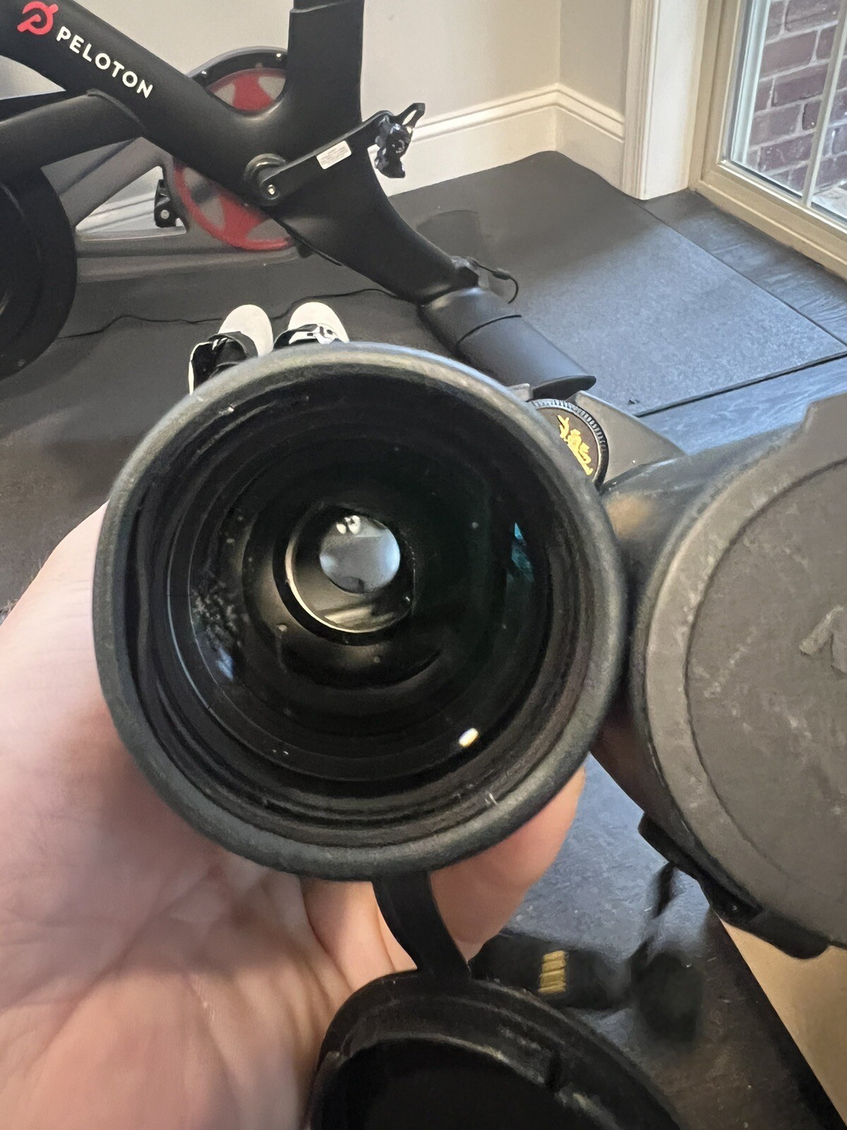 Nikon Monarch 10x56 Binoculars eBay