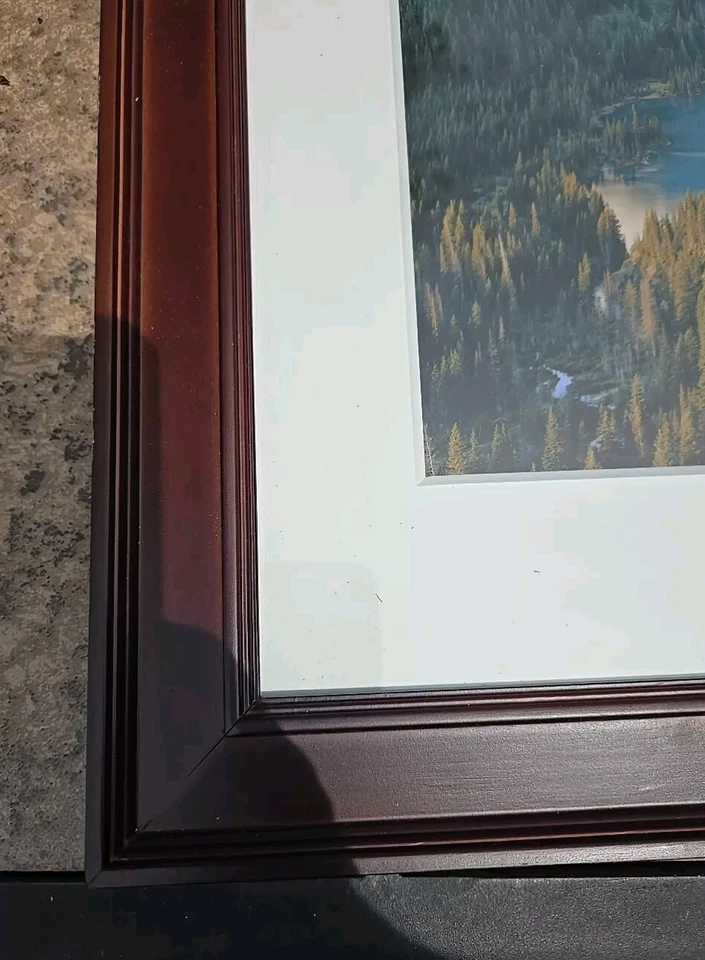 Foto assinada por Rodney Lough Jr Just Woods Glacier National Park 15 X 12 reimpressão? - Imagem 4 de 4